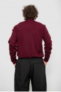 Светр чоловічий, колір сливовий, 161R1880 - фото № 5