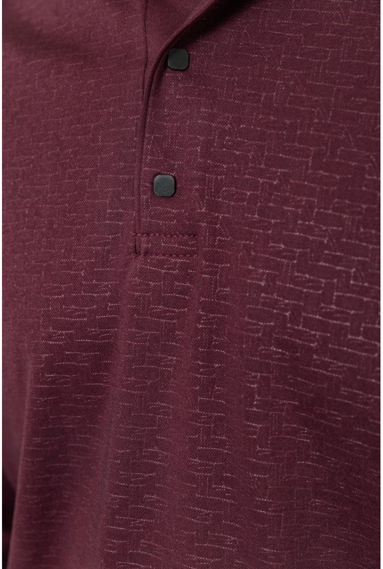 Купить Поло мужское с длинным рукавом, цвет бордовый, 157R304-2 - Фото №5