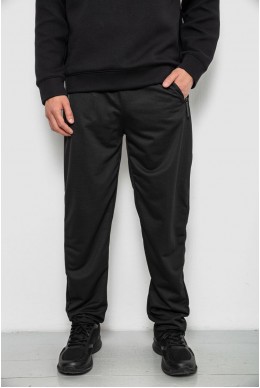 Спортивные штаны мужские однотонные, цвет черный, 244R41740