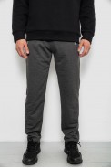 Спортивные штаны мужские однотонные, цвет серый, 244R41740 оптом - фото № 0