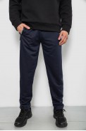 Спортивные штаны мужские однотонные, цвет синий, 244R41740 оптом - фото № 0