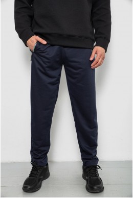 Спортивные штаны мужские однотонные, цвет синий, 244R41740