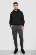 Спортивні штани чоловічі, колір сірий, 244R435 - фото № 1
