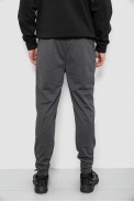 Спортивні штани чоловічі, колір сірий, 244R435 - фото № 3