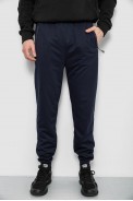 Спортивні штани чоловічі, колір синій, 244R435 - фото № 0