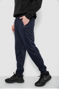 Спортивні штани чоловічі, колір синій, 244R435 - фото № 2