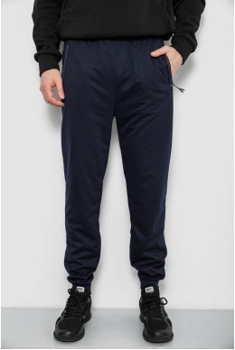 Спортивные штаны мужские, цвет синий, 244R435