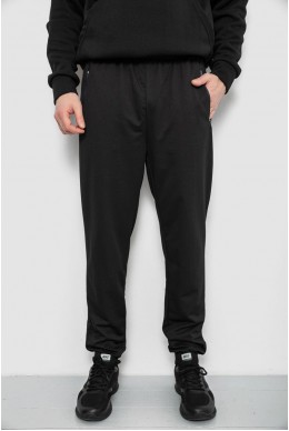 Спортивные штаны мужские, цвет черный, 244R434