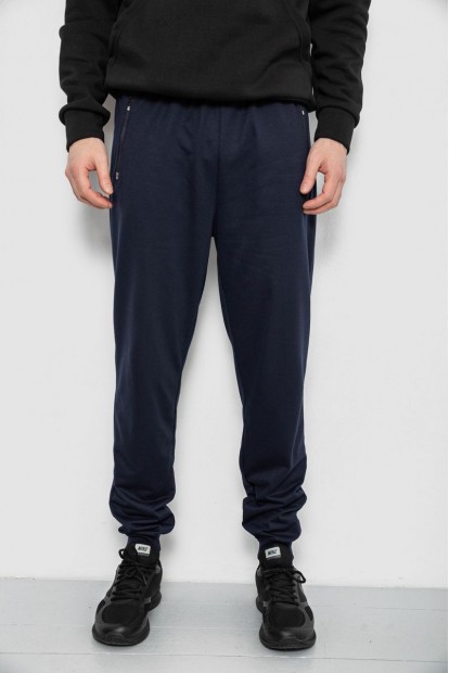 Спортивные штаны мужские, цвет синий, 244R434