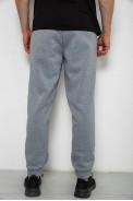 Спортивні штани чоловічі на флісі  -уцінка, колір сірий, 238R58641-U - фото № 3