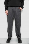 Спортивные штаны мужские, цвет серый, 244R41399 - фото № 0