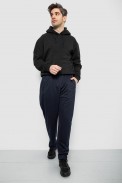 Спортивные штаны мужские, цвет синий, 244R41399 - фото № 1