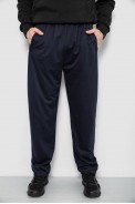 Спортивные штаны мужские, цвет синий, 244R41399 - фото № 0