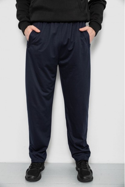 Спортивные штаны мужские, цвет синий, 244R41399