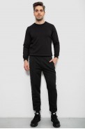 Спортивные штаны мужские на флисе, цвет черный, 244R6120 - фото № 1