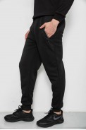 Спортивные штаны мужские на флисе, цвет черный, 244R6120 - фото № 2