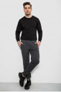 Спортивные штаны мужские на флисе, цвет серый, 244R6120 - фото № 1