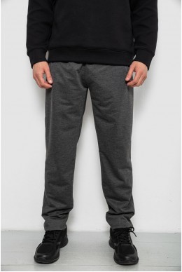 Спортивные штаны мужские однотонные, цвет серый, 244R41668