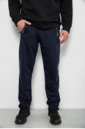 Спортивные штаны мужские однотонные, цвет синий, 244R41668 оптом - фото № 0