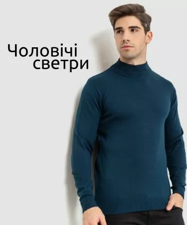 Чоловічі светри