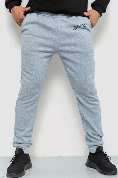 Спортивні чоловічі штани на флісі, колір світло-сірий, 238R01908