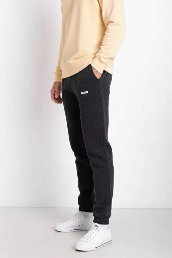 Купить Спортивные штаны мужские на флисе, цвет грифельный, 129RA9998 - Фото №2