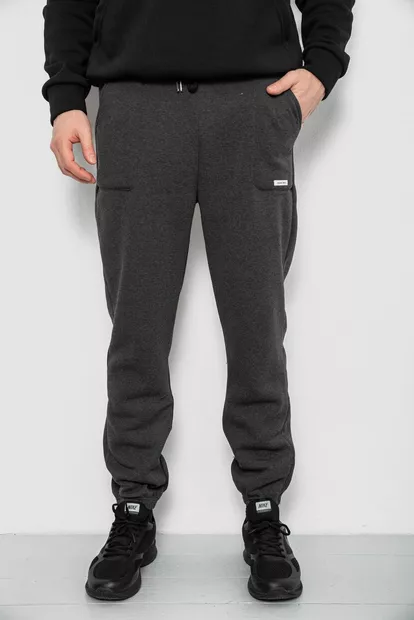 Спортивные штаны мужские на флисе, цвет грифельный, 129RA9998