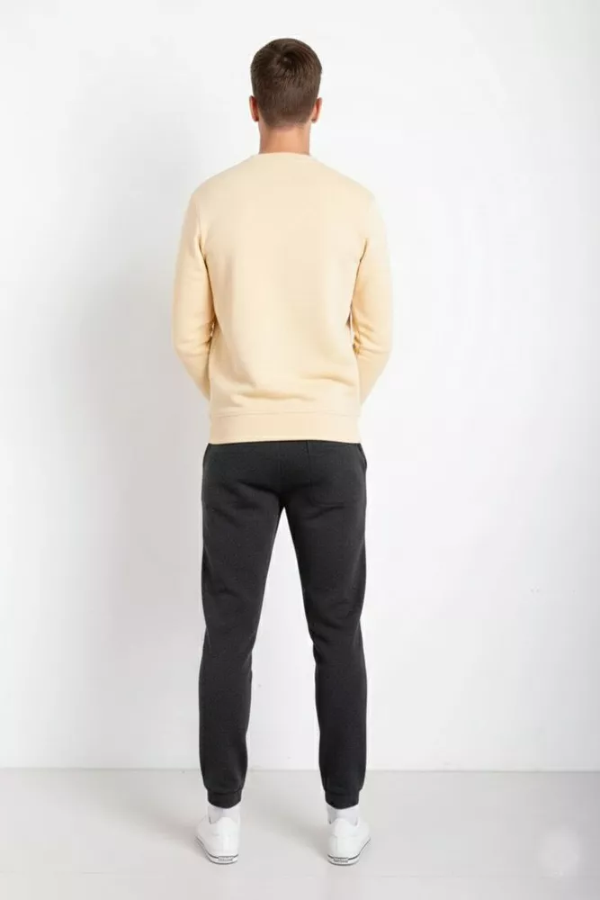 Купить Спортивные штаны мужские на флисе, цвет грифельный, 129RA9998 - Фото №3