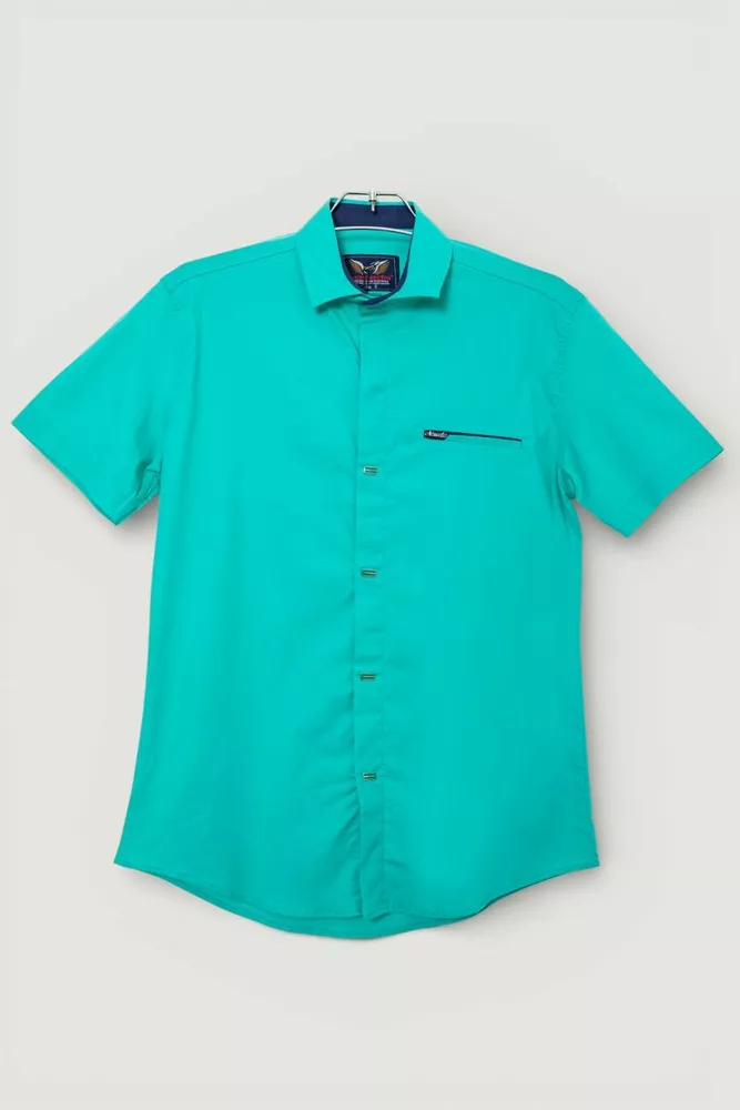 Купить Мужская рубашка однотонная, цвет зеленый, 186R7008 - Фото №1