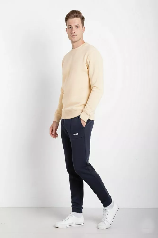 Купить Спортивные штаны мужские на флисе, цвет синий, 129RA9998 - Фото №2