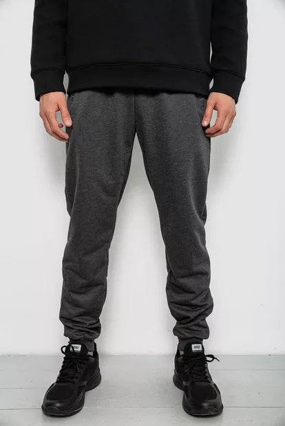 Спортивні штани чоловічі однотонні, колір сірий, 244R41736