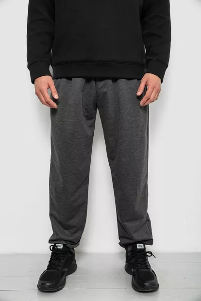 Спортивні штани чоловічі однотонні, колір сірий, 244RY-428
