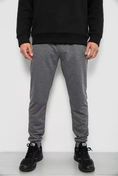 Спортивные штаны мужские однотонные, цвет светло-серый, 244R41608