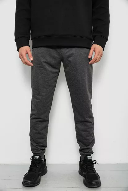 Спортивные штаны мужские однотонные, цвет серый, 244R41608