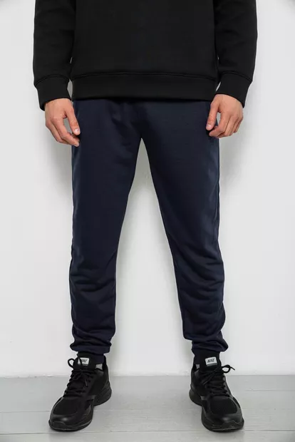 Спортивні штани чоловічі однотонні, колір синій, 244R41608