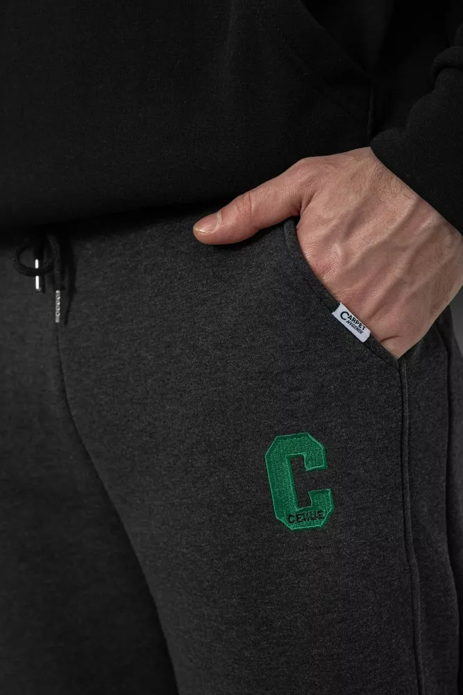 Купить Спортивные штаны мужские на флисе, цвет грифельный, 129RA9995 - Фото №5