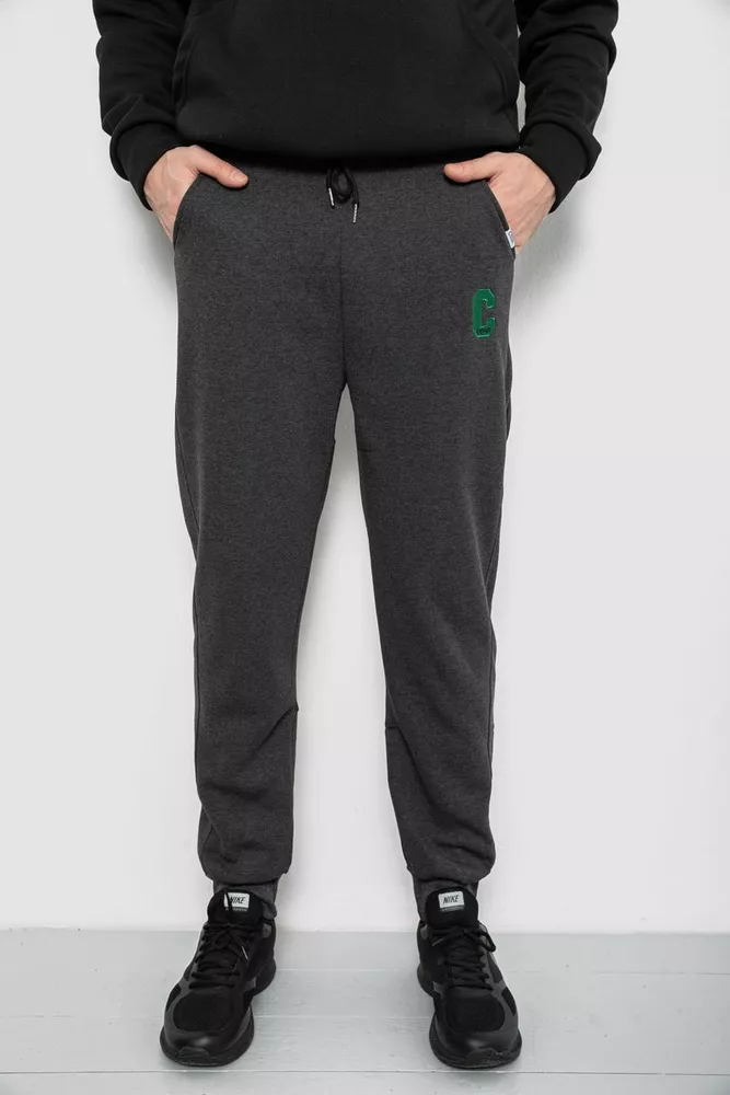 Купить Спортивные штаны мужские на флисе, цвет грифельный, 129RA9995 - Фото №1