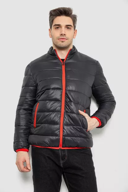 Куртка мужская демисезонная 244RL616, цвет Черный