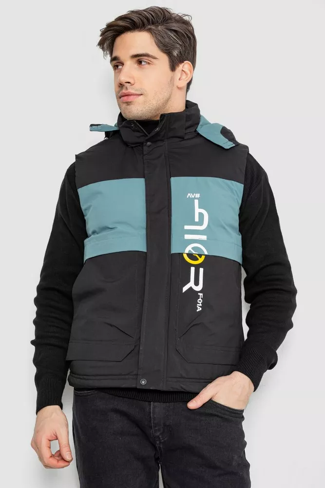 Купити Жилетка чоловіча демісезонна, колір чорний, 244R99006 - Фото №1