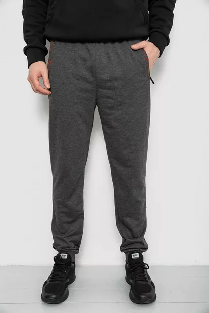 Спортивные штаны мужские, цвет серый, 244R429