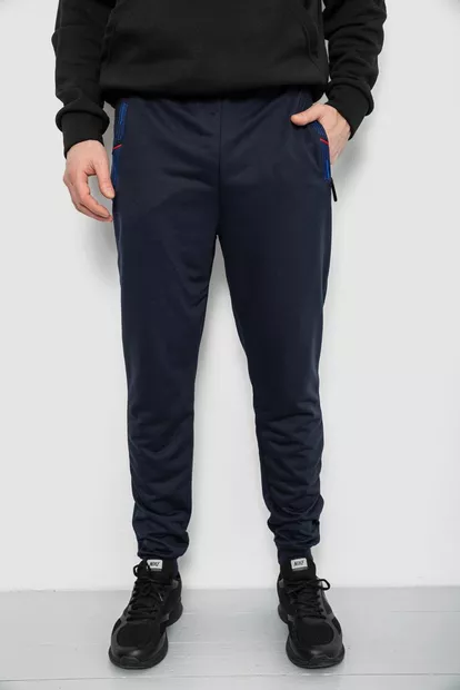 Спортивные штаны мужские, цвет синий, 244R429