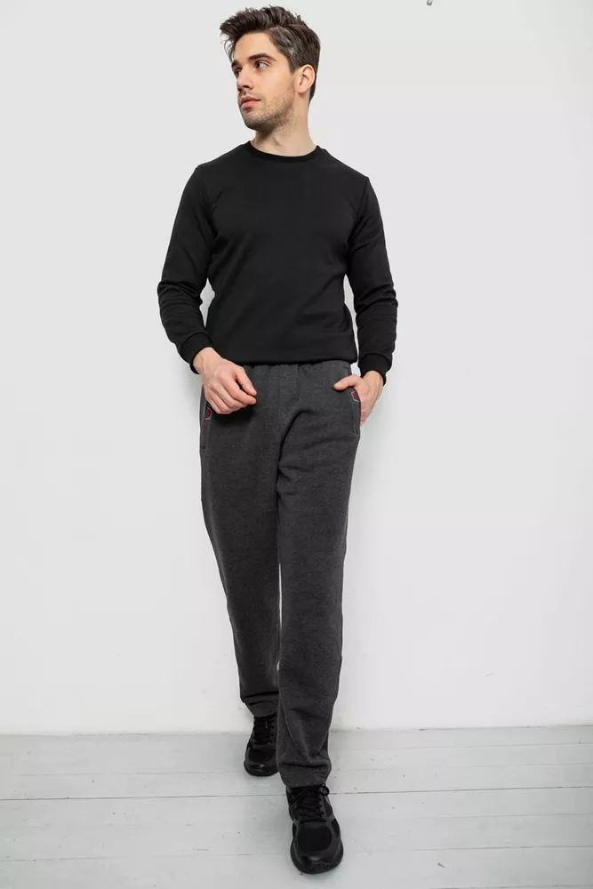 Купить Спортивные штаны мужские на флисе, цвет серый, 244R41597 - Фото №2