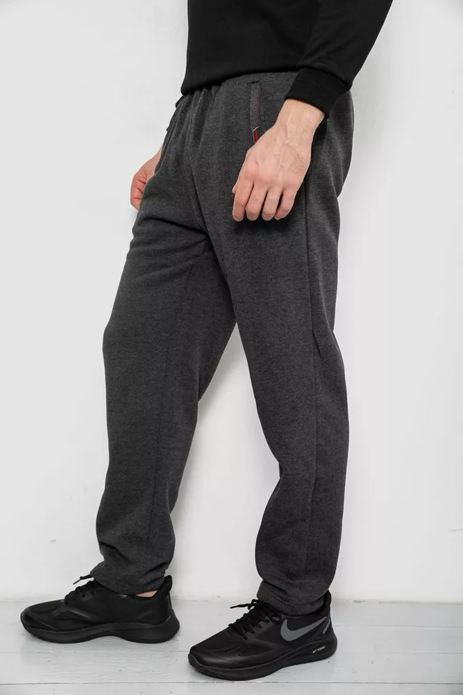 Купить Спортивные штаны мужские на флисе, цвет серый, 244R41597 - Фото №3