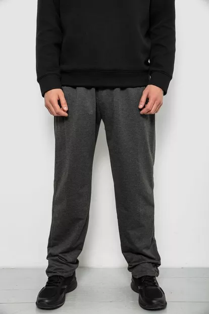Спортивні штани чоловічі однотонні, колір сірий, 244R41272