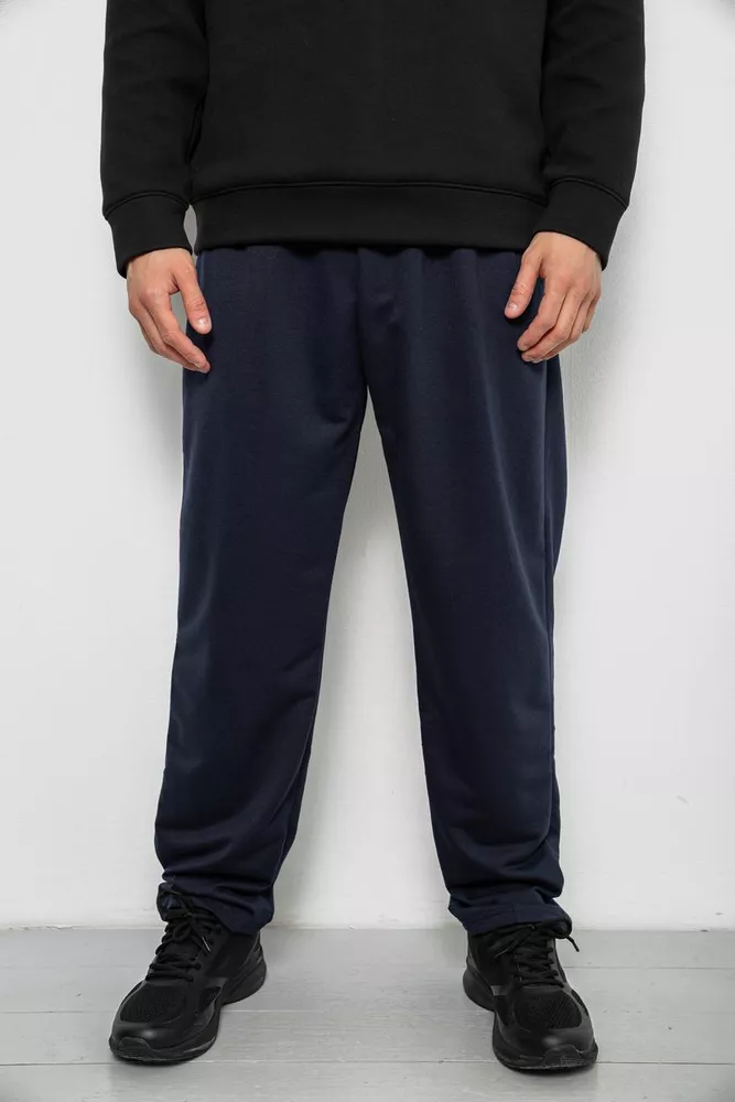 Купить Спортивные штаны мужские однотонные, цвет синий, 244R41272 - Фото №1