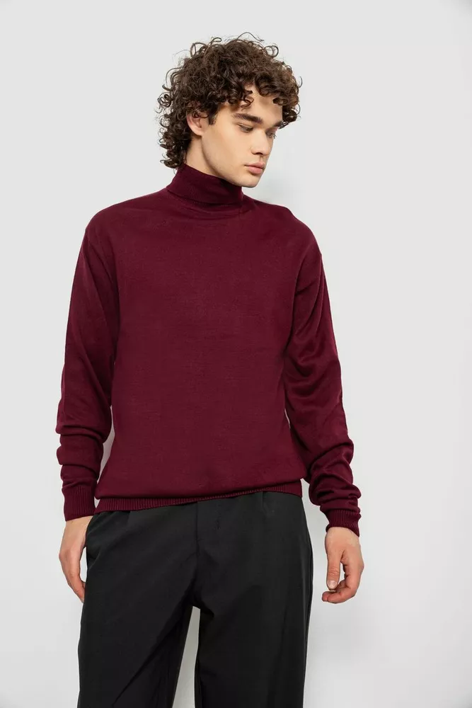 Купити Светр чоловічий, колір сливовий, 161R1880 - Фото №1