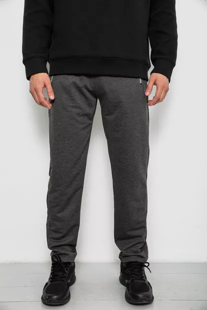 Спортивные штаны мужские однотонные, цвет серый, 244R41740