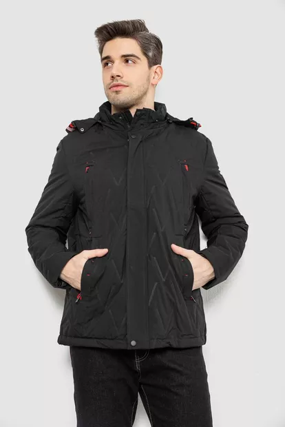Куртка мужская демисезонная с капюшоном, цвет черный, 244RL9159AL