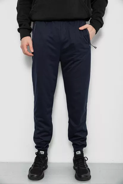 Спортивные штаны мужские, цвет синий, 244R435