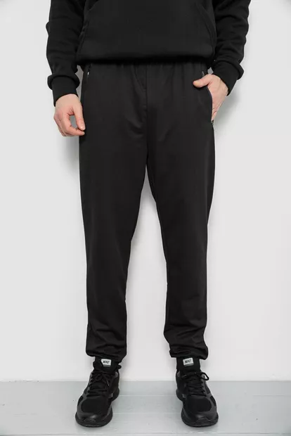 Спортивные штаны мужские, цвет черный, 244R434